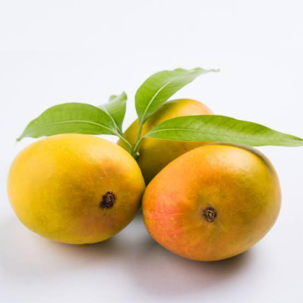 Fresh Ratnagiri alphonso mango with yellow color skin