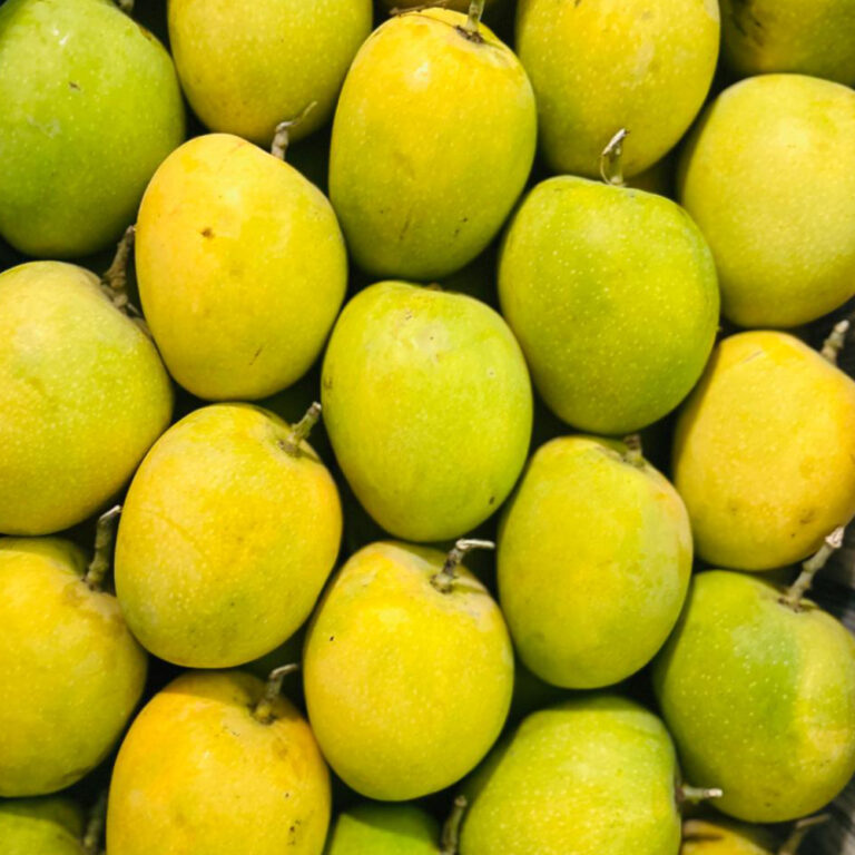 Alphonso mangoes with yellow green skin