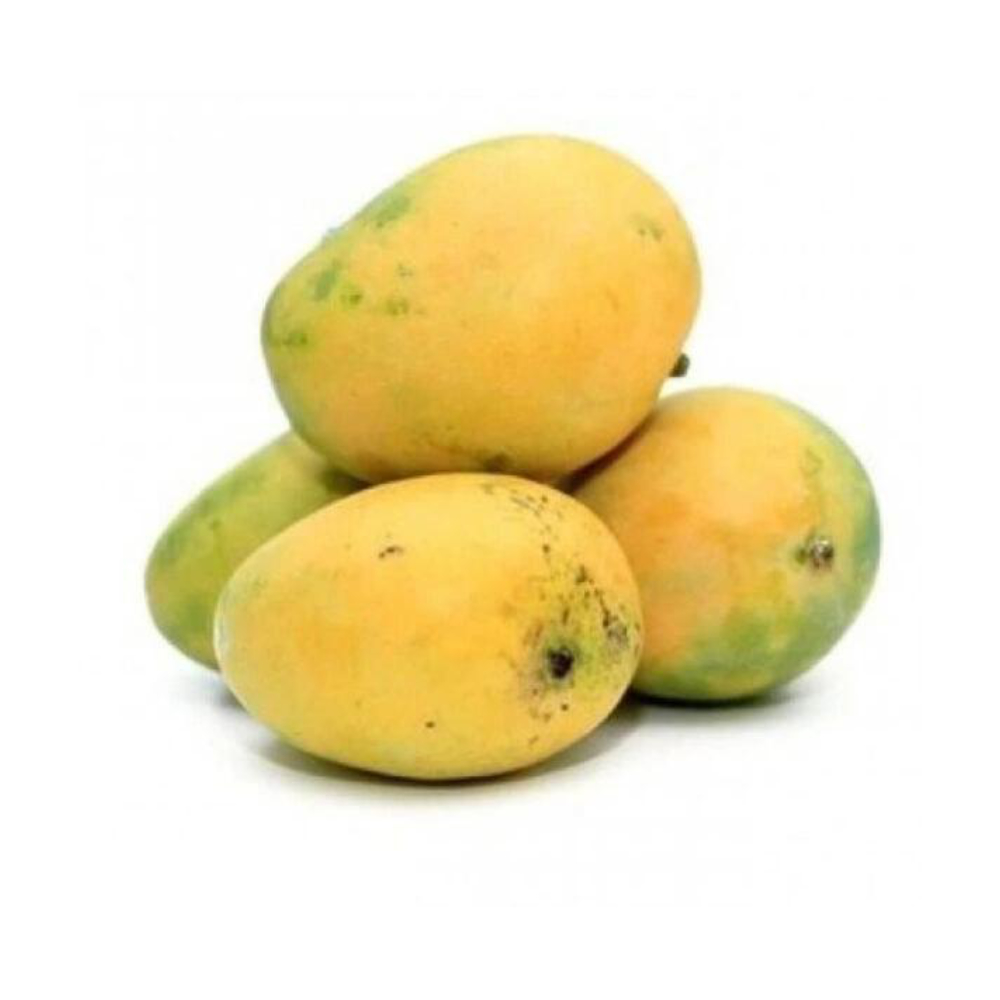 Fresh Banganapalli mango with yellow skin on white background