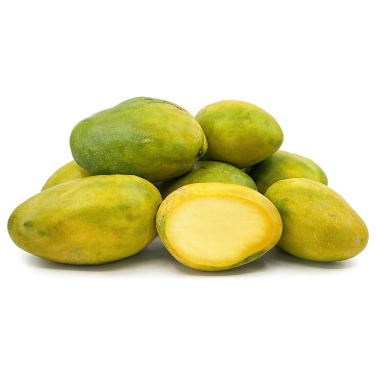 Fresh Imam Pasand mangoes with green and slight yellow color on white background